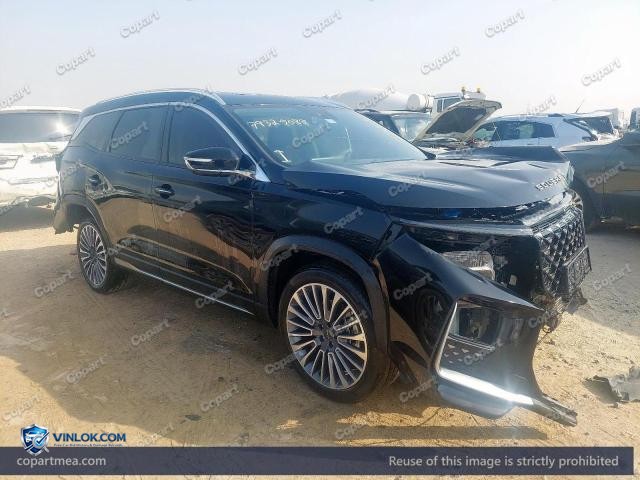 2025 SOUE S09 – Lot 79325085 auction photo