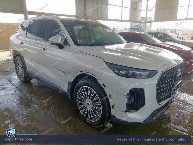2025 CHER TIGGO – Lot 79500395 auction photo