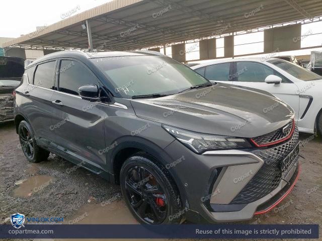 2024 GEEA COOLRAY – Lot 79500695 auction photo