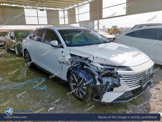 2025 CHAN EADO – Lot 79864055 auction photo