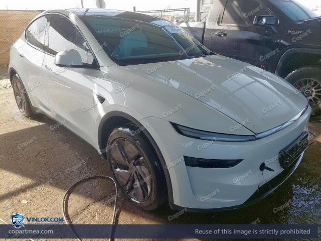 2025 TESLA MODEL Y – Lot 79864465 auction photo