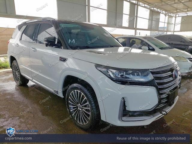 2022 CHAN CS95 – Lot 79866245 auction photo