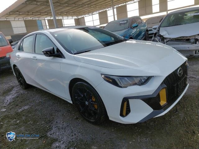 2024 GAC EMPOW – Lot 84164975 auction photo