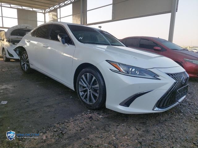 2020 LEXUS ES 300 – Lot 85252235 auction photo