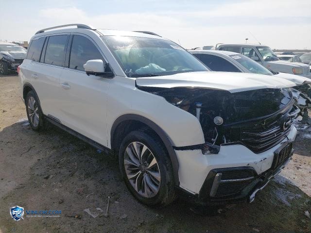 2021 GAC GS8 – Lot 95595335 auction photo