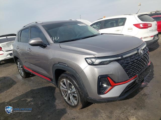 2025 CHAN CS35 – Lot 96426185 auction photo
