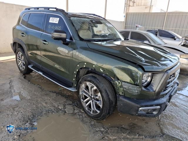 2024 HAVA DARGO – Lot 97687125 auction photo