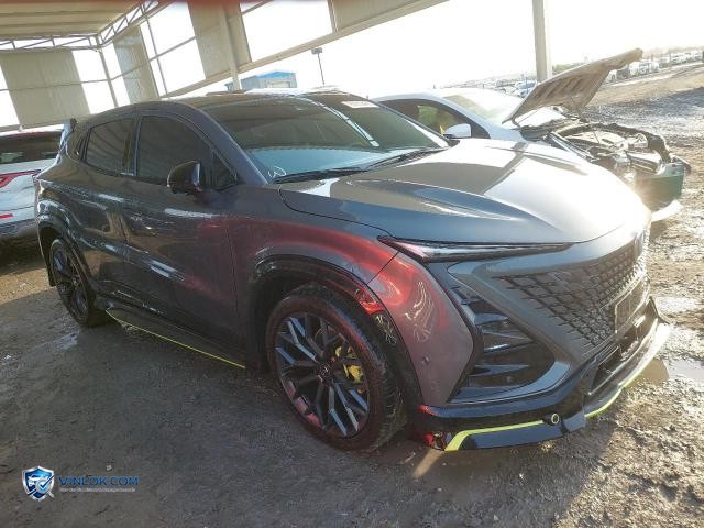 2024 CHAN UNI T – Lot 97912435 auction photo