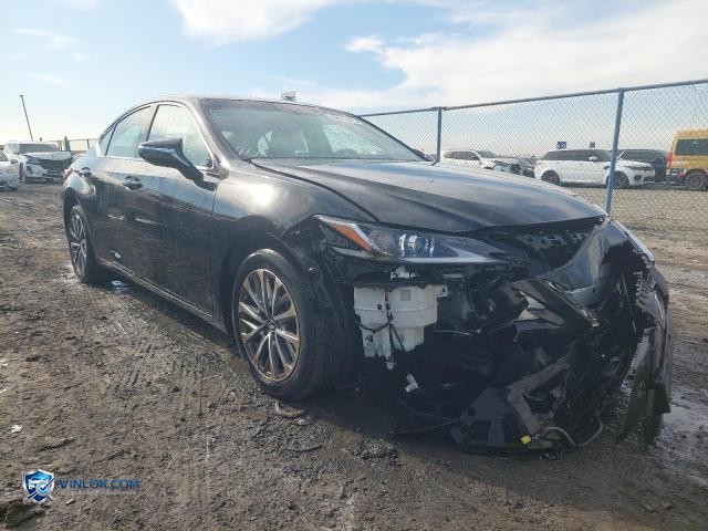 2024 LEXUS ES 300H – Lot 98513975 auction photo