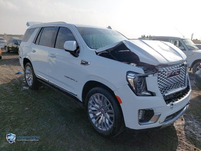 2023 GMC YUKON – Lot 99045035 auction photo