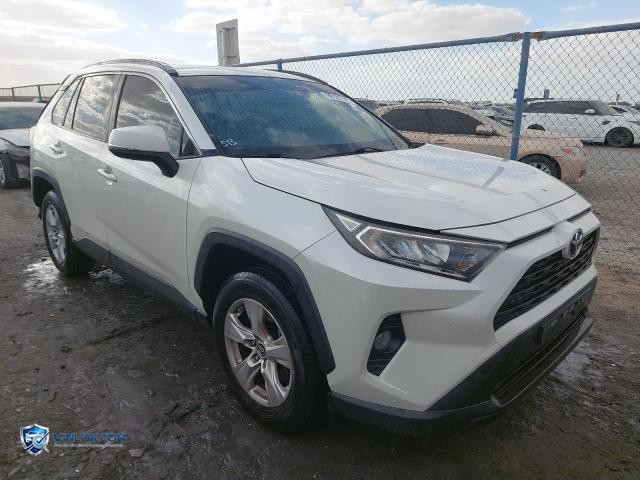 2019 TOYOTA RAV 4 – Lot 99181745 auction photo