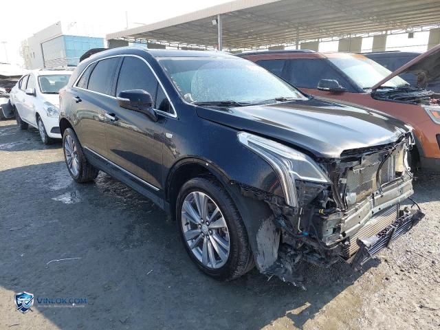 2023 CADILLAC XT5 – Lot 99952435 auction photo