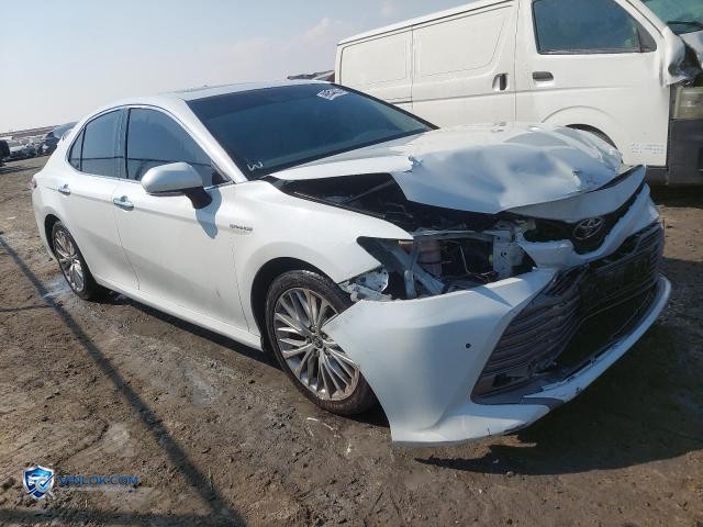 2020 TOYOTA CAMRY – Lot 99955455 auction photo