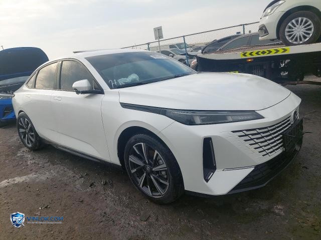 2025 CHAN EADO – Lot 99964365 auction photo