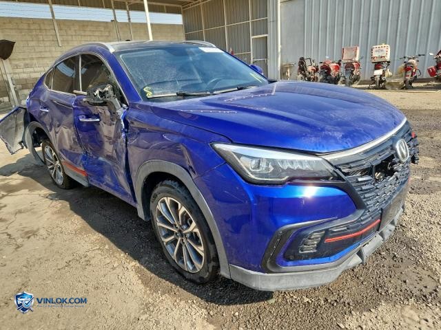 2022 CHAN CS85 – Lot 99969435 auction photo