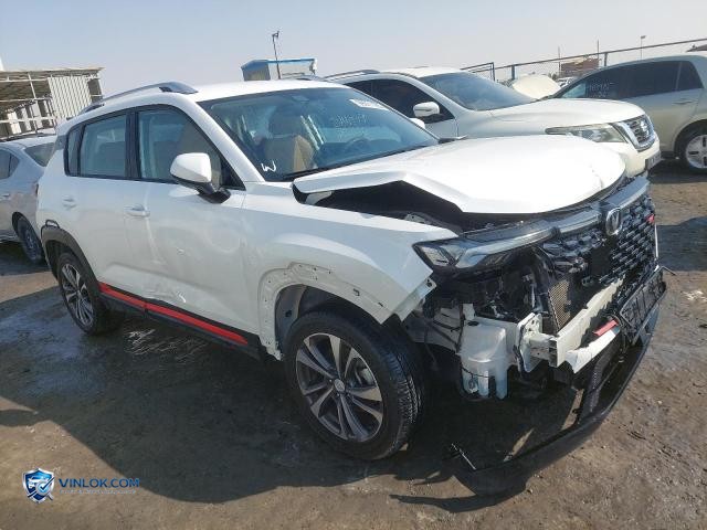 2025 CHAN CS35 PLUS – Lot 99971165 auction photo