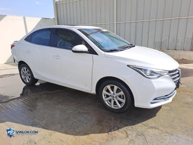 2023 CHAN ALSVIN – Lot 99983165 auction photo