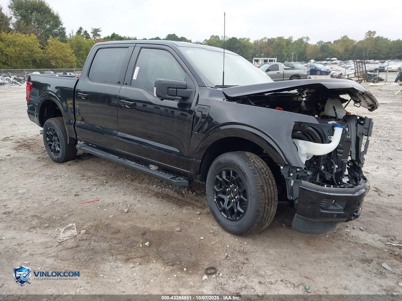 2025 FORD F-150 XLT – Lot 43395851 auction photo