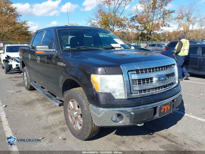 2013 FORD F-150 XLT – Lot 43495010 auction photo
