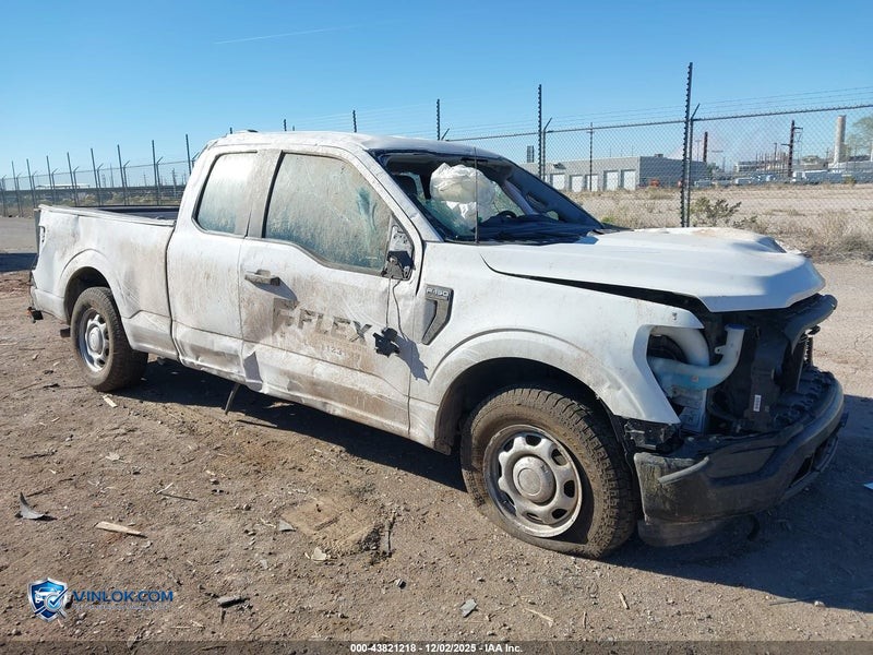2022 FORD F-150 XL – Lot 43821218 auction photo