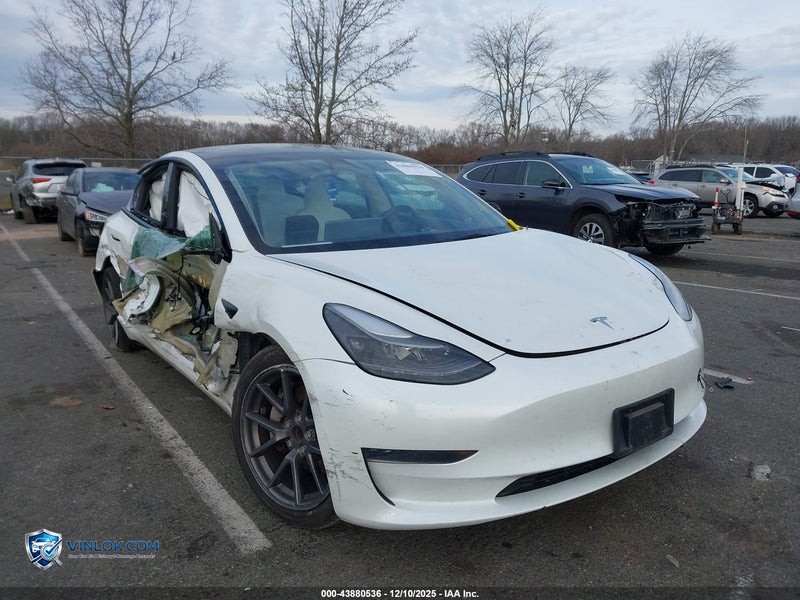 2023 TESLA MODEL 3 REAR-WHEEL DRIVE – Lot 43880536 auction photo