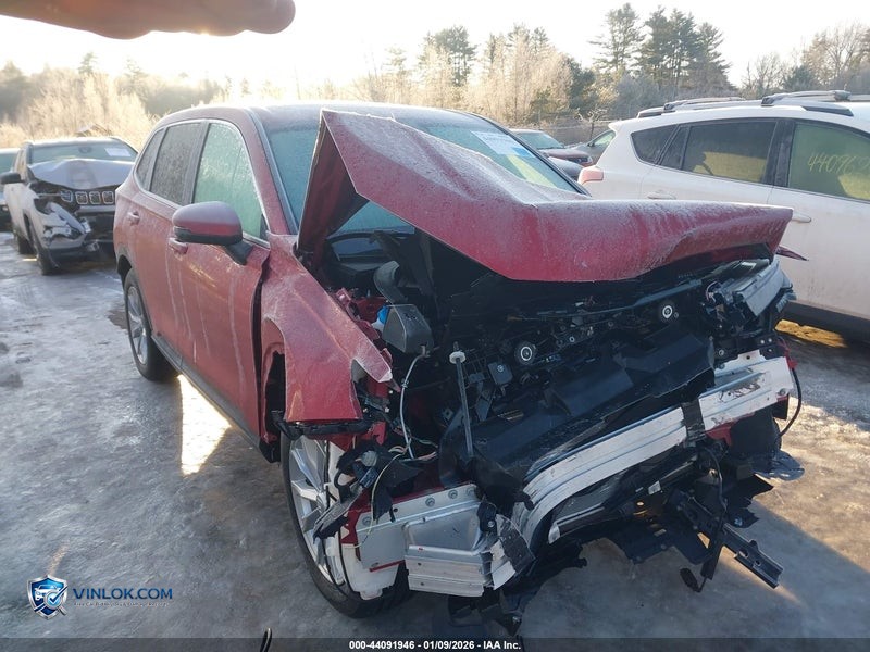 2025 HONDA CR-V EX-L AWD – Lot 44091946 auction photo