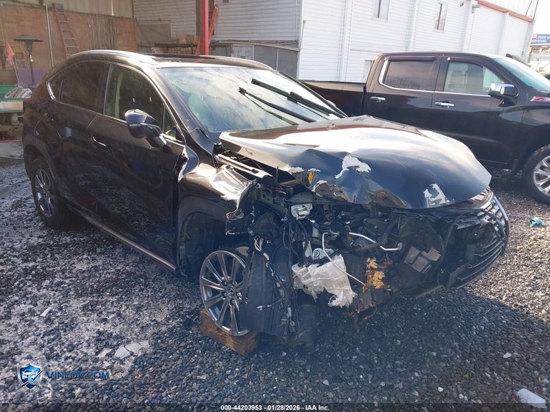 2020 LEXUS NX 300   – Lot 44203953 auction photo