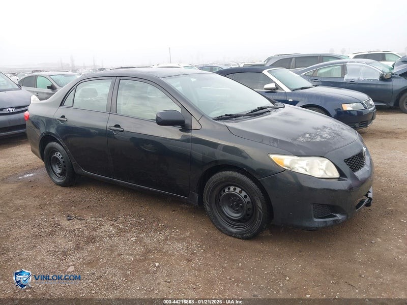 2010 TOYOTA COROLLA LE – Lot 44216868 auction photo