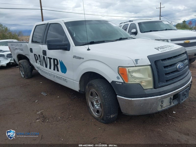 2010 FORD F-150 XL – Lot 44230642 auction photo