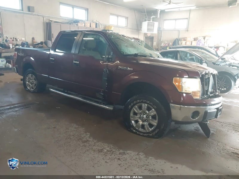 2010 FORD F-150 FX4/HARLEY-DAVIDSON/KING RANCH/LARIAT/PLATINUM/XL/XLT – Lot 44331501 auction photo