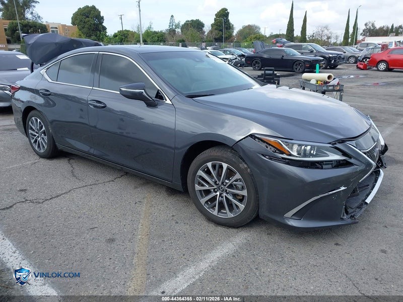2024 LEXUS ES 350   – Lot 44364355 auction photo