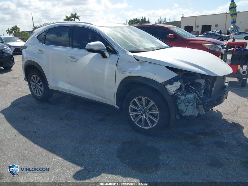 2021 LEXUS NX 300   – Lot 44403811 auction photo