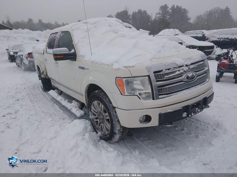 2009 FORD F-150 FX4/KING RANCH/LARIAT/PLATINUM/XL/XLT – Lot 44463484 auction photo