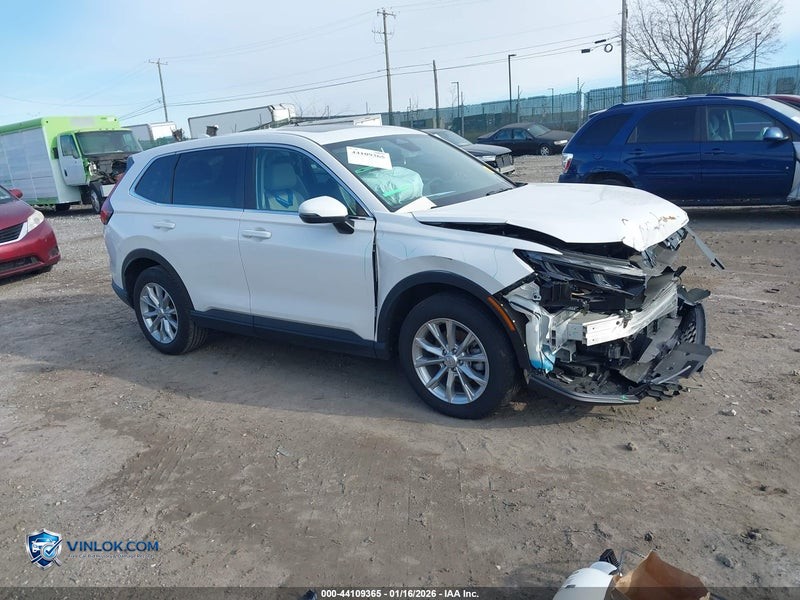 2024 HONDA CR-V – Lot 44109365 auction photo