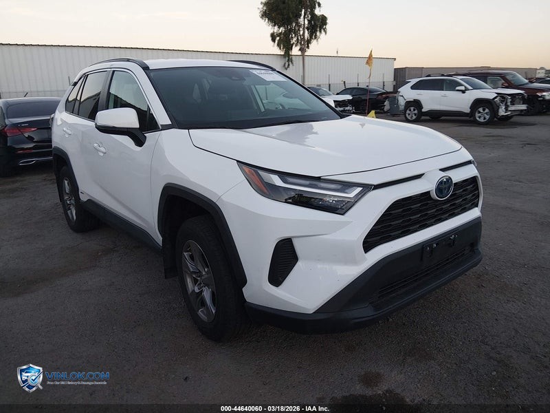 2024 TOYOTA RAV4 HYBRID LE – Lot 44640060 auction photo