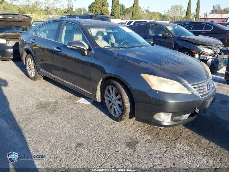 2010 LEXUS ES 350   – Lot 44642375 auction photo