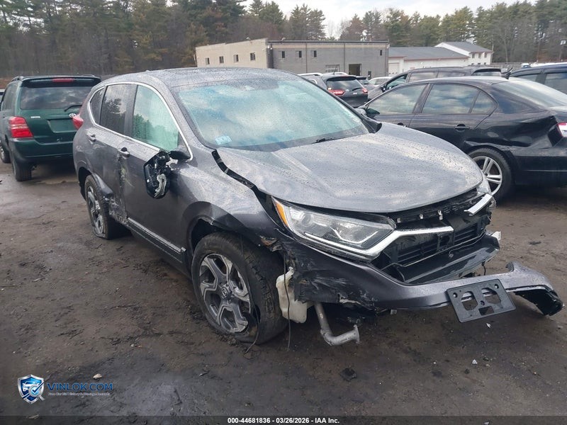 2019 HONDA CR-V EX – Lot 44681836 auction photo