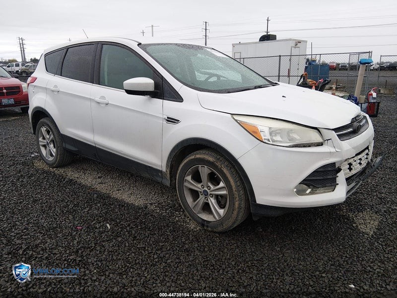 2014 FORD ESCAPE SE – Lot 44738194 auction photo