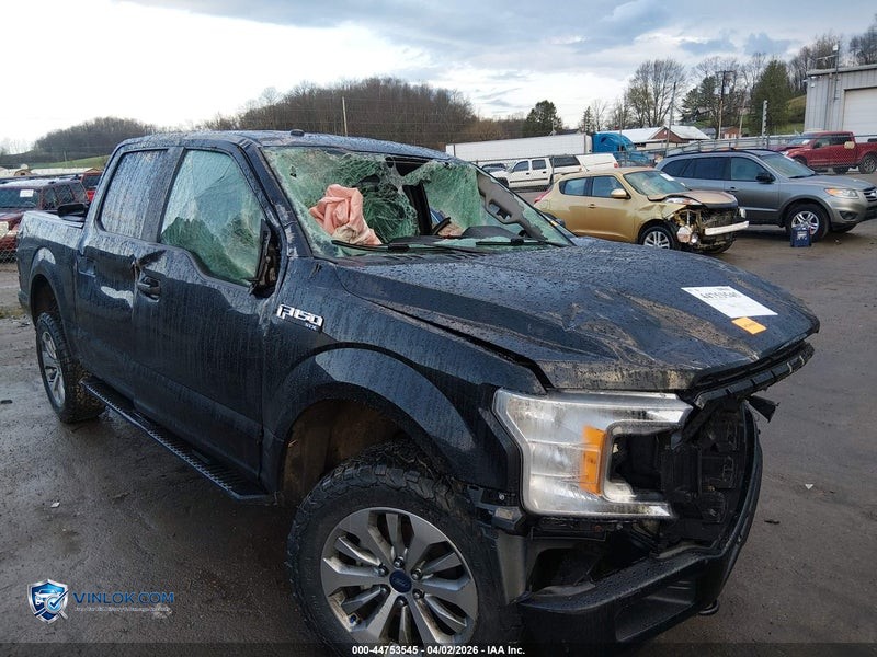 2018 FORD F-150 XL – Lot 44753545 auction photo