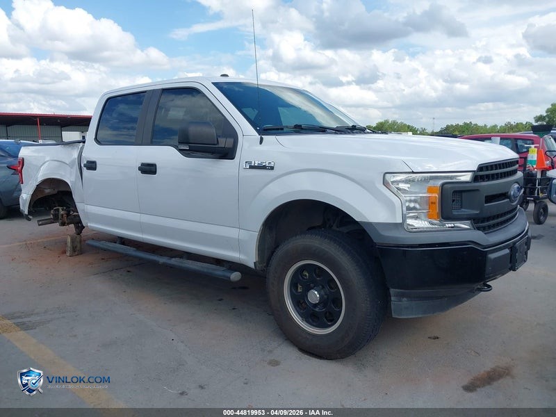2019 FORD F-150 XL – Lot 44819953 auction photo