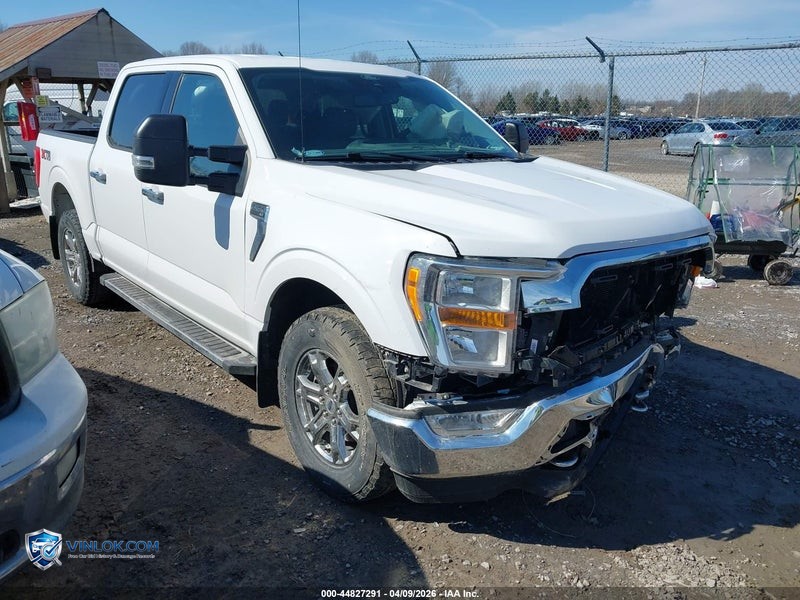 2021 FORD F-150 XLT – Lot 44827291 auction photo