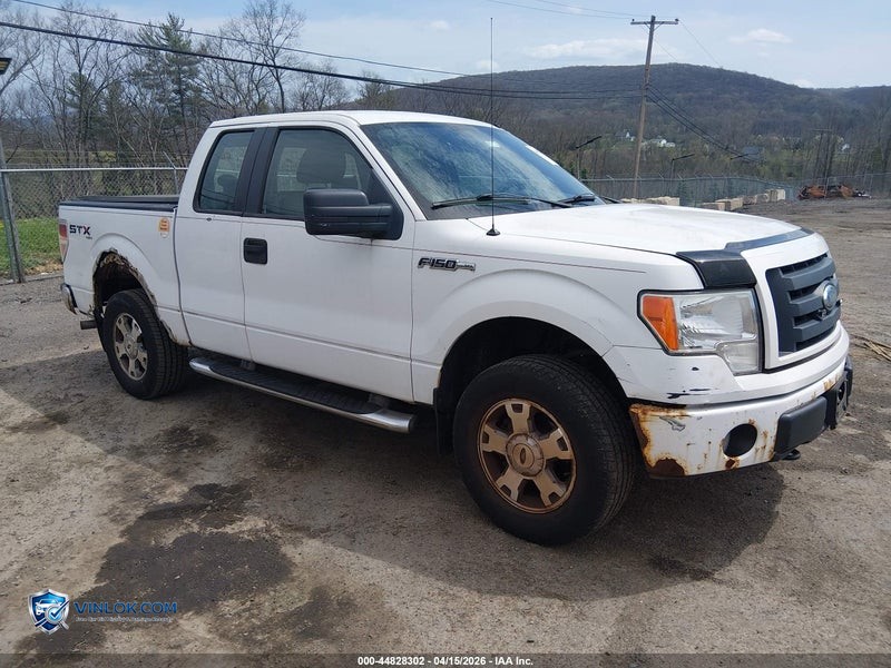2009 FORD F-150 STX/XL/XLT – Lot 44828302 auction photo