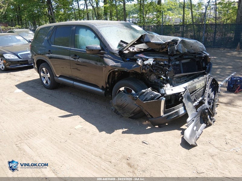 2025 HONDA PILOT EX-L – Lot 44830408 auction photo