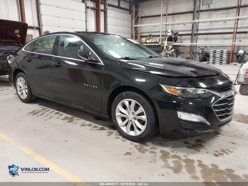 2019 CHEVROLET MALIBU LT – Lot 44835177 auction photo