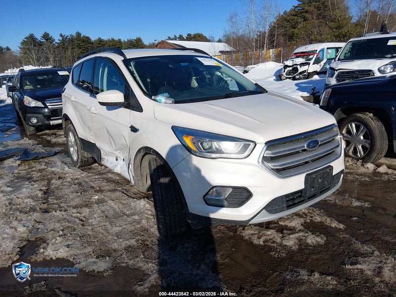 2019 FORD ESCAPE – Lot 44423542 auction photo
