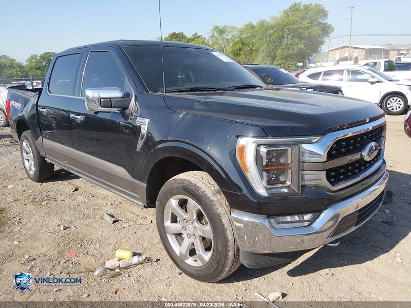 2023 FORD F-150 KING RANCH – Lot 44922879 auction photo