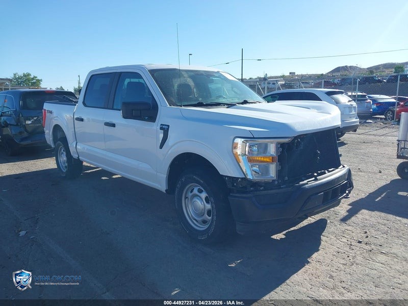 2021 FORD F-150 XL – Lot 44927231 auction photo
