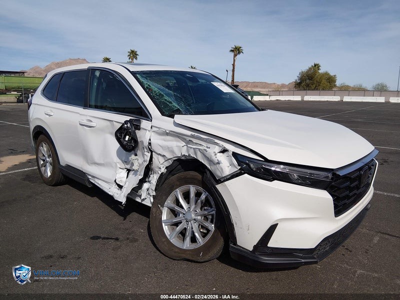 2025 HONDA CR-V – Lot 44470524 auction photo