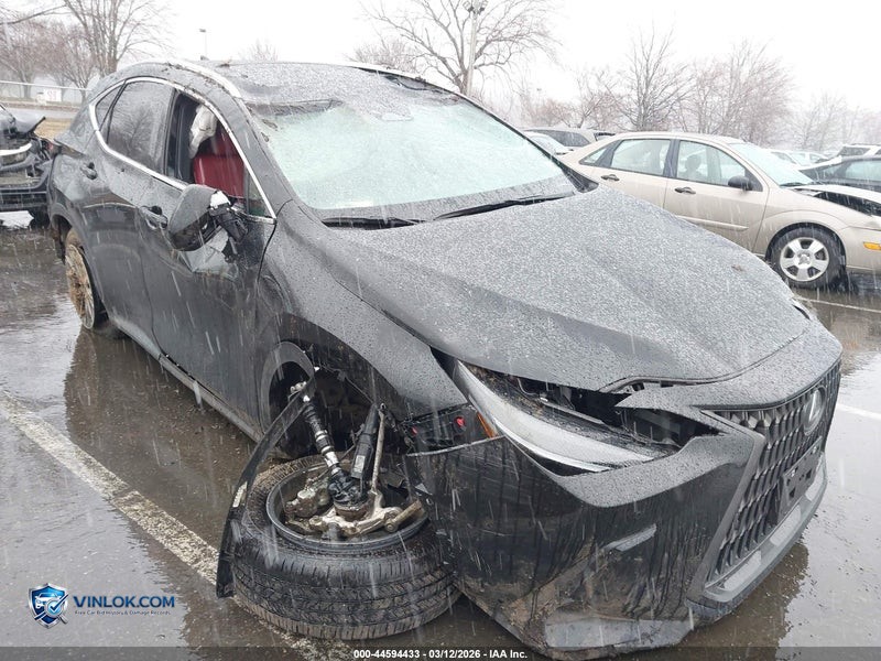 2025 LEXUS NX 350H – Lot 44594433 auction photo