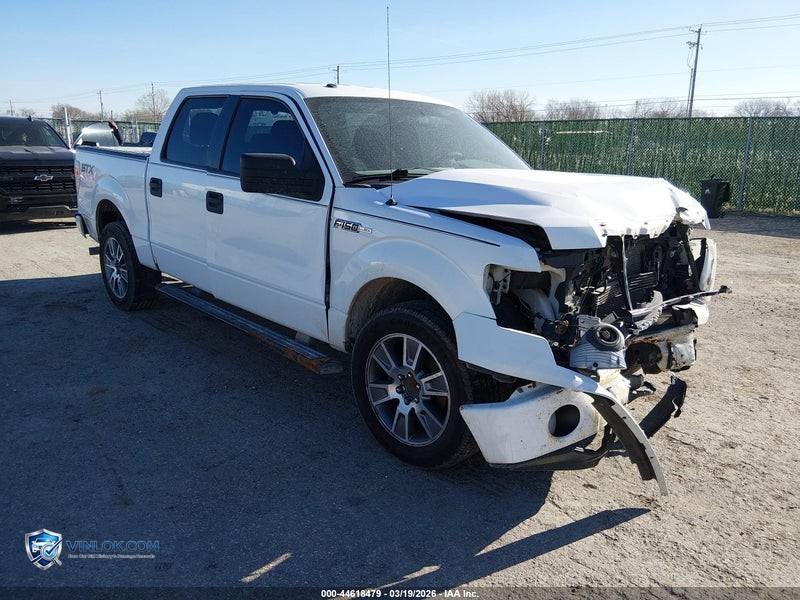 2014 FORD F-150 – Lot 44618479 auction photo